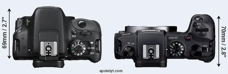 Compare 100D versus RP top