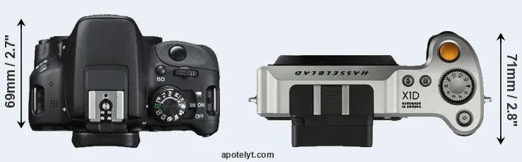 Compare 100D versus X1D top