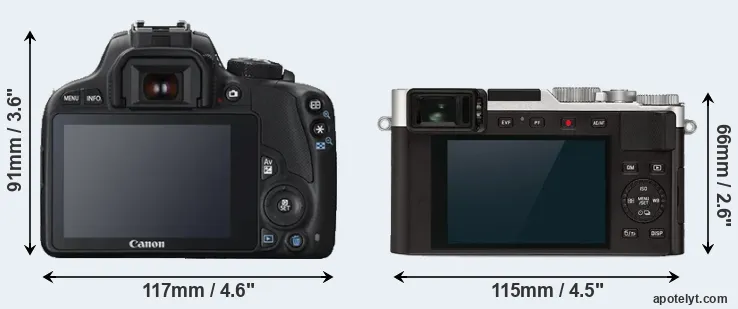 Comparison 100D or D-LUX 7 rear