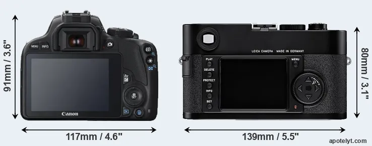 Comparison 100D or M8 rear