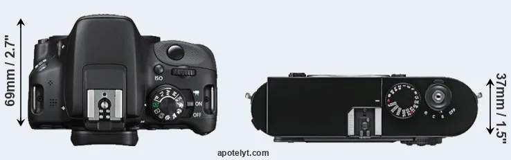 Compare 100D versus M9 top