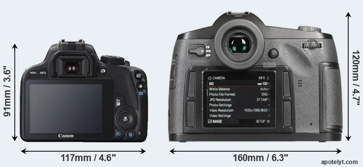 Comparison 100D or S-E Typ 006 rear