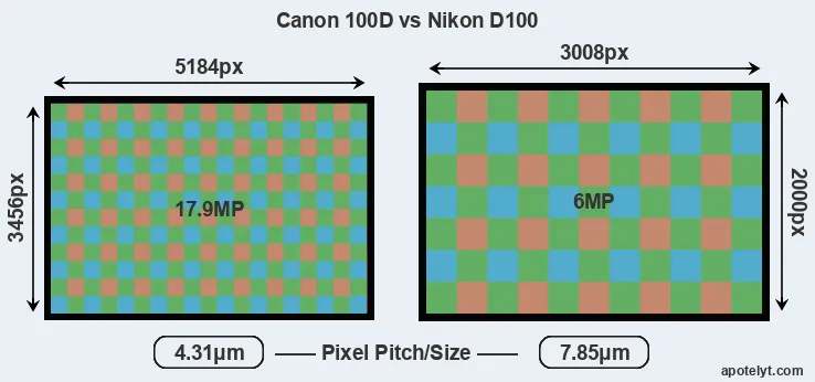 100D versus D100 MP