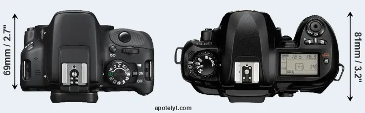 Compare 100D versus D100 top