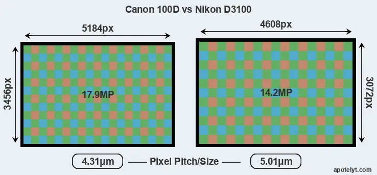 100D versus D3100 MP
