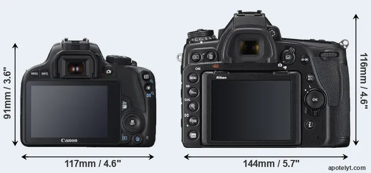 Comparison 100D or D780 rear