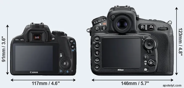 Comparison 100D or D810 rear