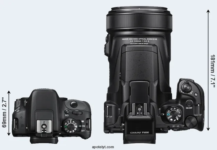 Compare 100D versus P1000 top