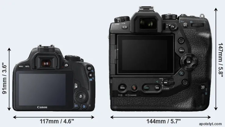 Comparison 100D or E-M1X rear