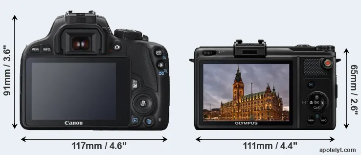 Comparison 100D or XZ-1 rear