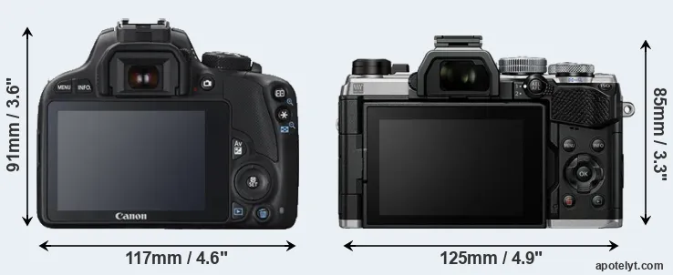 Comparison 100D or OM-5 rear