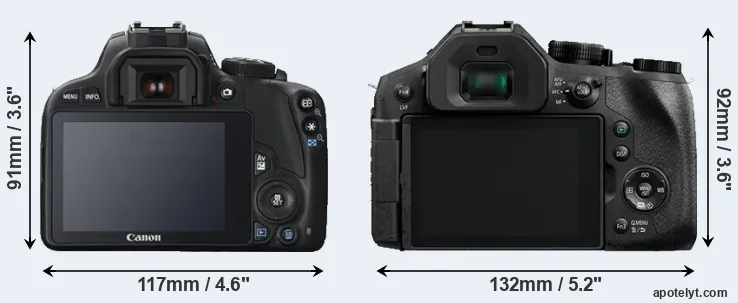 Comparison 100D or FZ300 rear