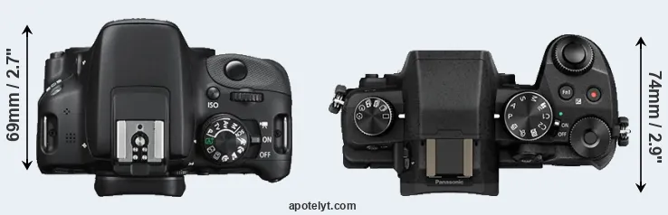 Compare 100D versus G80 top