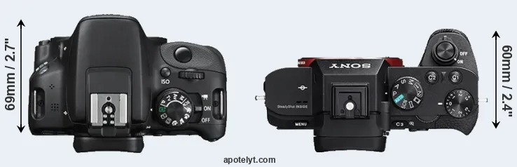 Compare 100D versus A7 II top