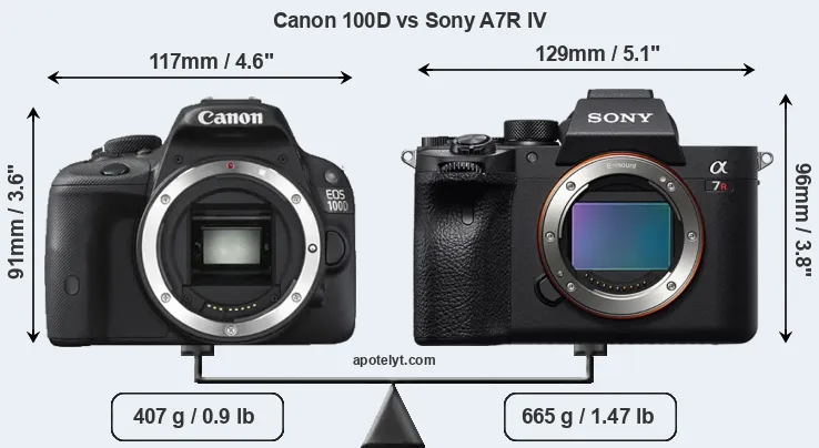 Size Canon 100D vs Sony A7R IV