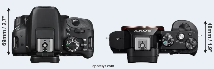 Compare 100D versus A7R top