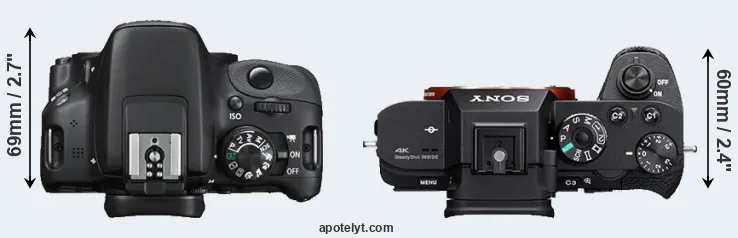 Compare 100D versus A7S II top