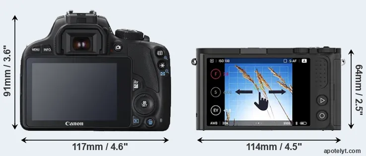 Comparison 100D or M1 rear