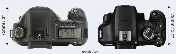 Compare 10D versus 1200D top
