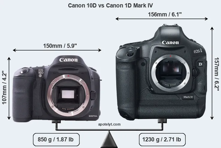 Size Canon 10D vs Canon 1D Mark IV