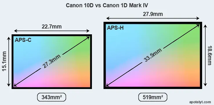 Canon 10D and Canon 1D Mark IV sensor measures
