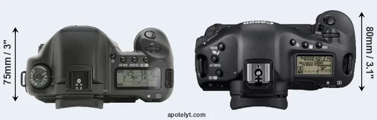 Compare 10D versus 1D Mark IV top