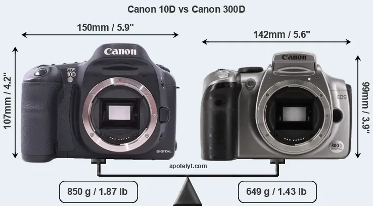 Size Canon 10D vs Canon 300D