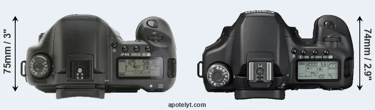 Compare 10D versus 40D top