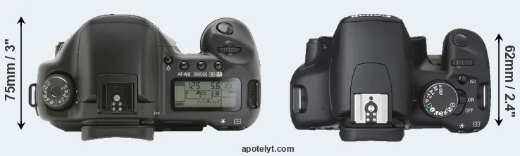 Compare 10D versus 450D top