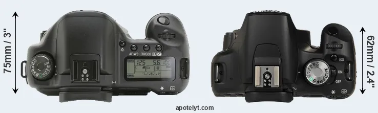Compare 10D versus 500D top