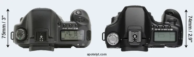 Compare 10D versus 50D top