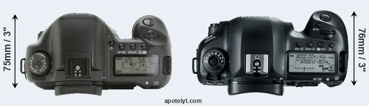 Compare 10D versus 5D Mark IV top