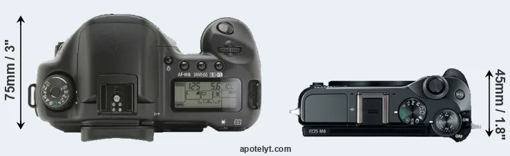 Compare 10D versus M6 top