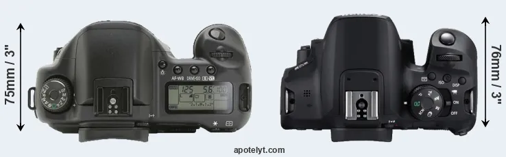 Compare 10D versus T8i top