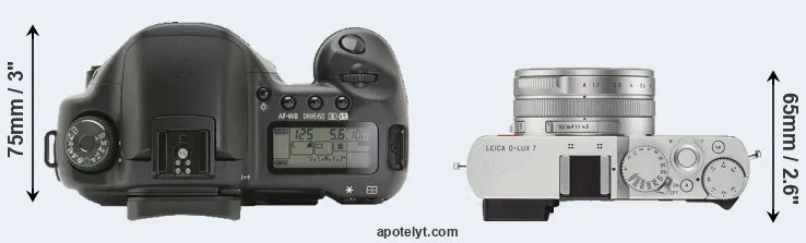 Compare 10D versus D-LUX 7 top