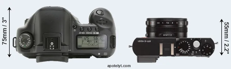 Compare 10D versus D-LUX Typ 109 top