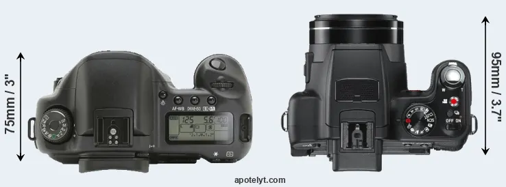 Compare 10D versus V-LUX 2 top