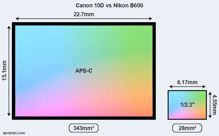 Canon 10D and Nikon B600 sensor measures