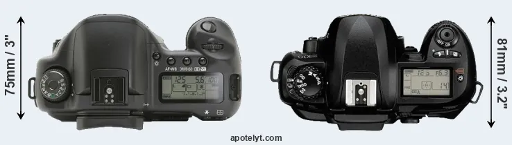Compare 10D versus D100 top