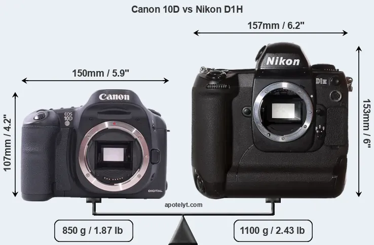 Size Canon 10D vs Nikon D1H