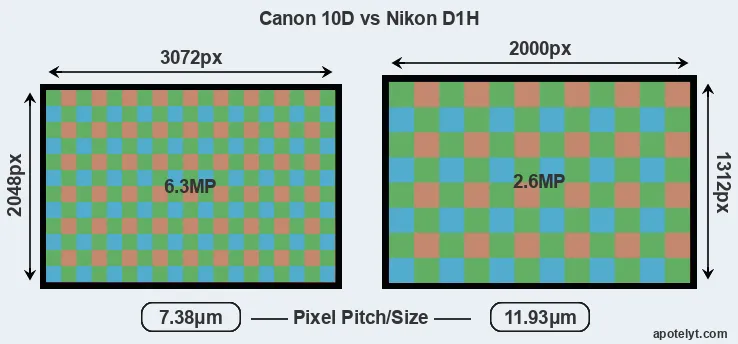 10D versus D1H MP