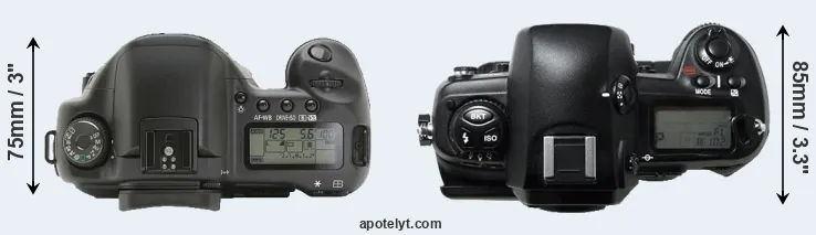 Compare 10D versus D1H top