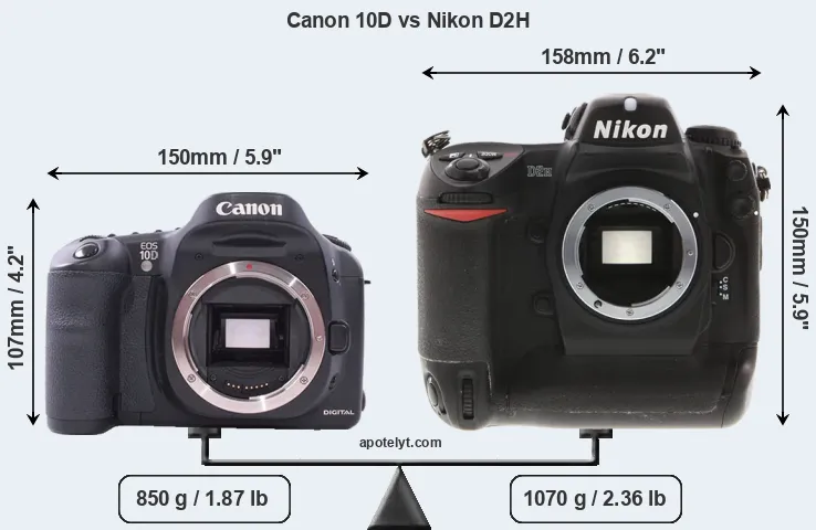 Size Canon 10D vs Nikon D2H