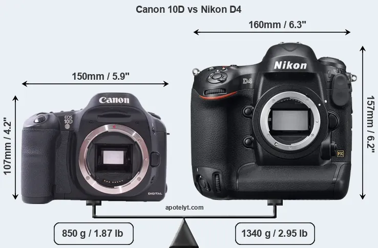 Size Canon 10D vs Nikon D4