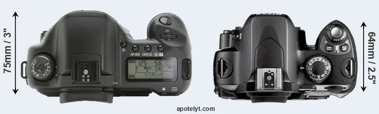 Compare 10D versus D40X top