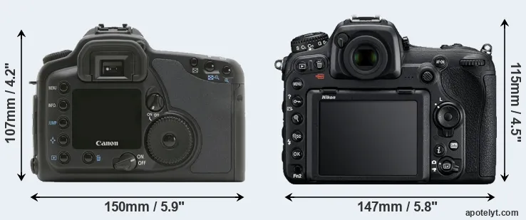 Comparison 10D or D500 rear