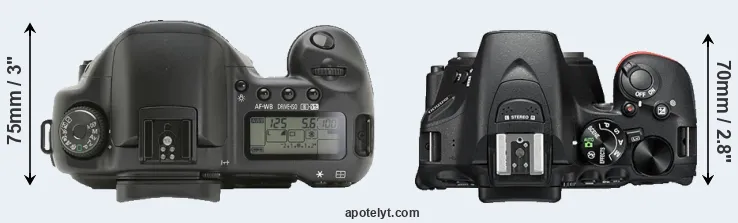 Compare 10D versus D5500 top