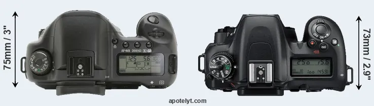 Compare 10D versus D7500 top