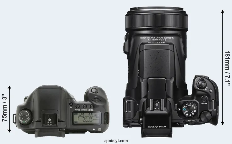 Compare 10D versus P1000 top