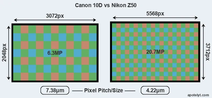 10D versus Z50 MP